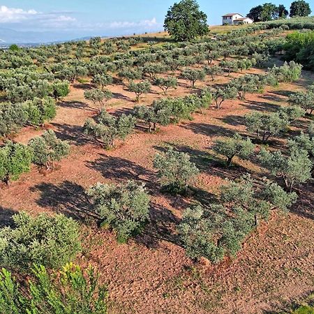 Agriturismo Incanto Della Natura 칸나라 외부 사진