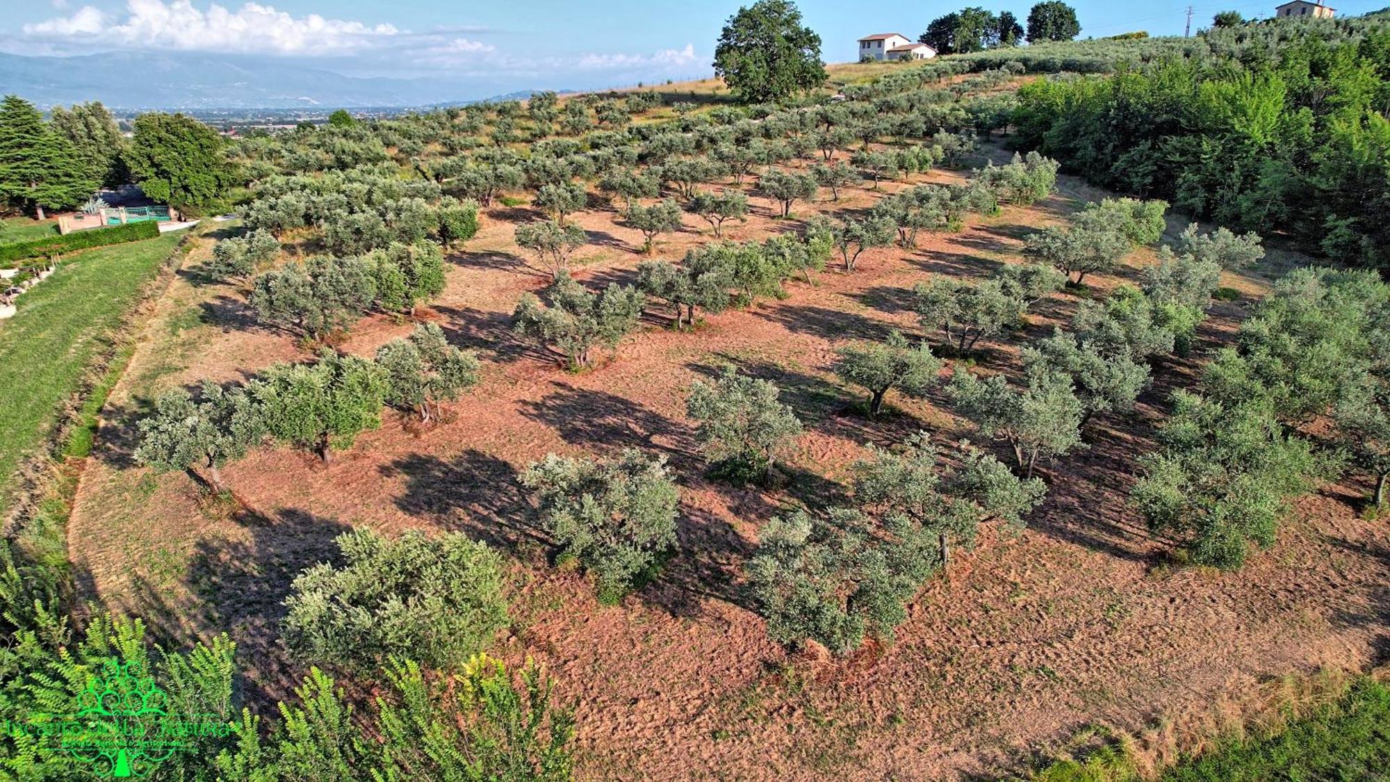 Agriturismo Incanto Della Natura 칸나라 외부 사진